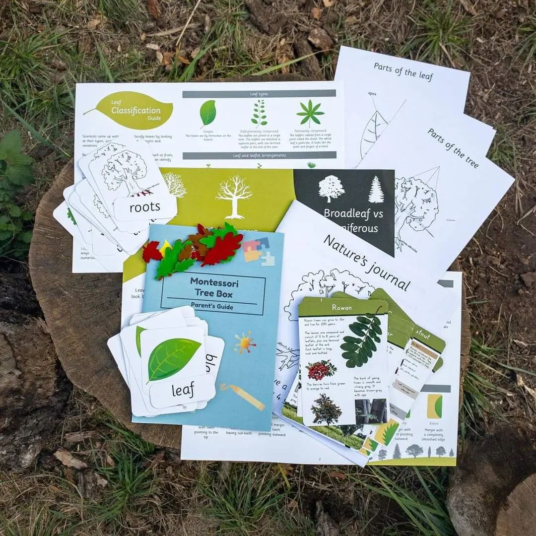 tree box