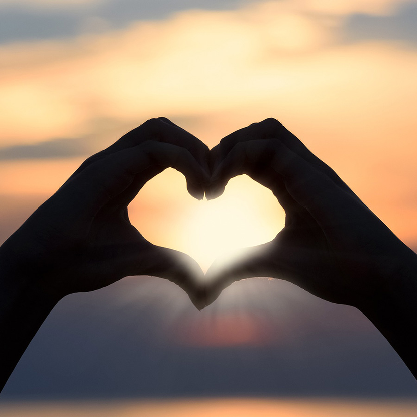 hands heart