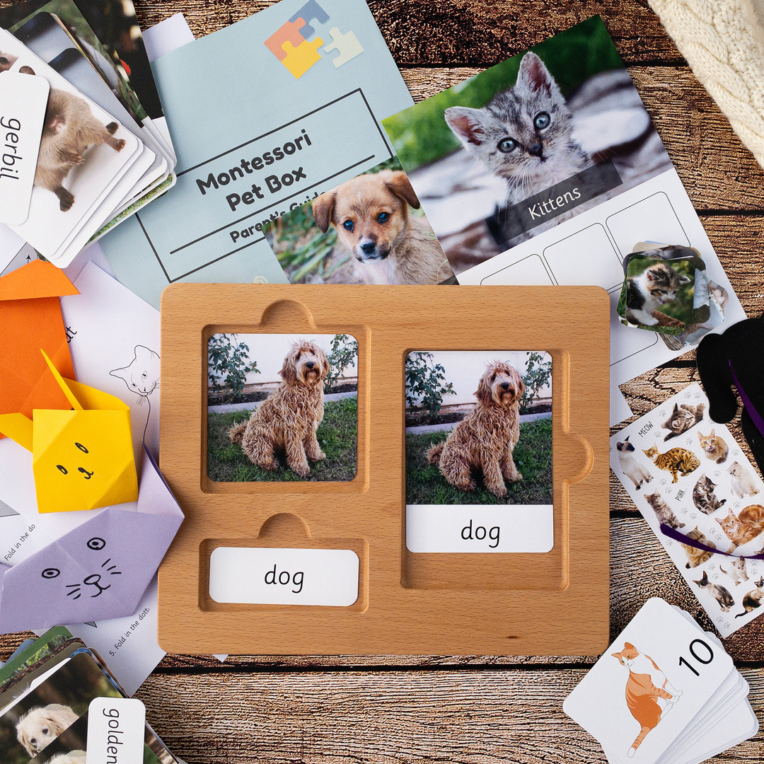 pet-box