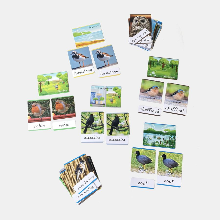 bird-3-part-cards